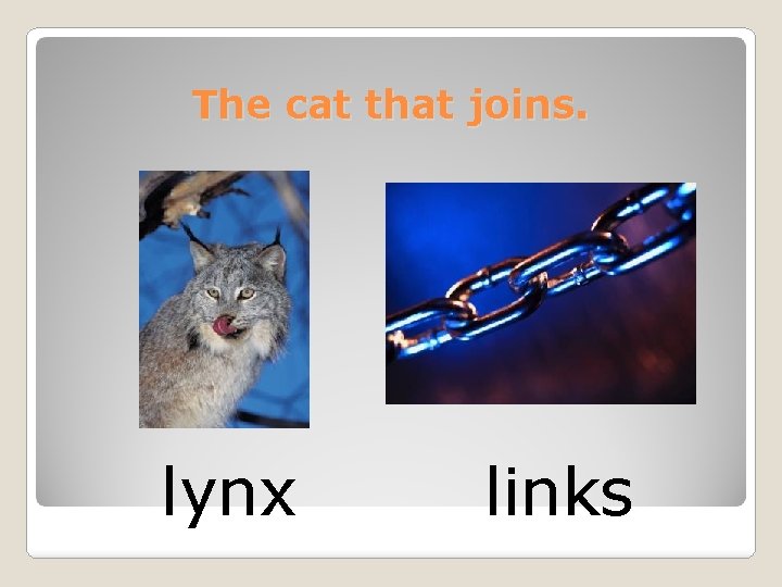 The cat that joins. lynx links 