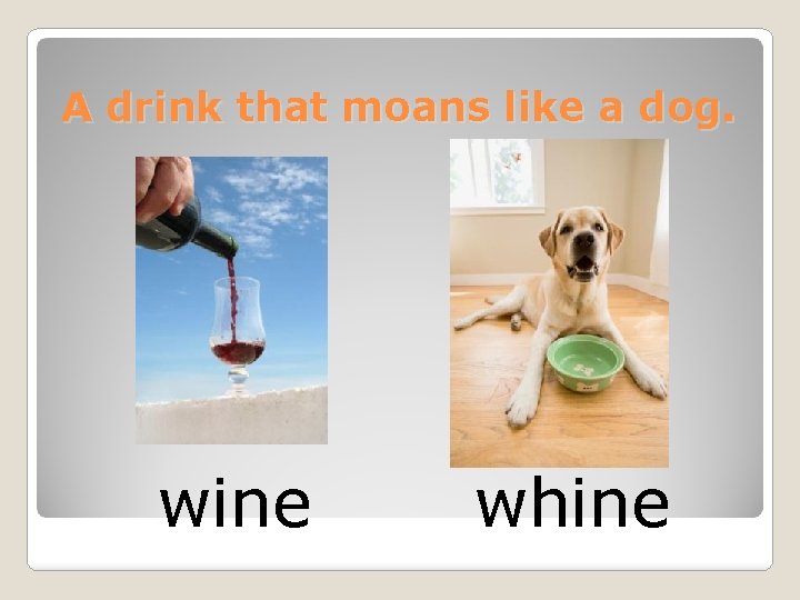 A drink that moans like a dog. wine whine 