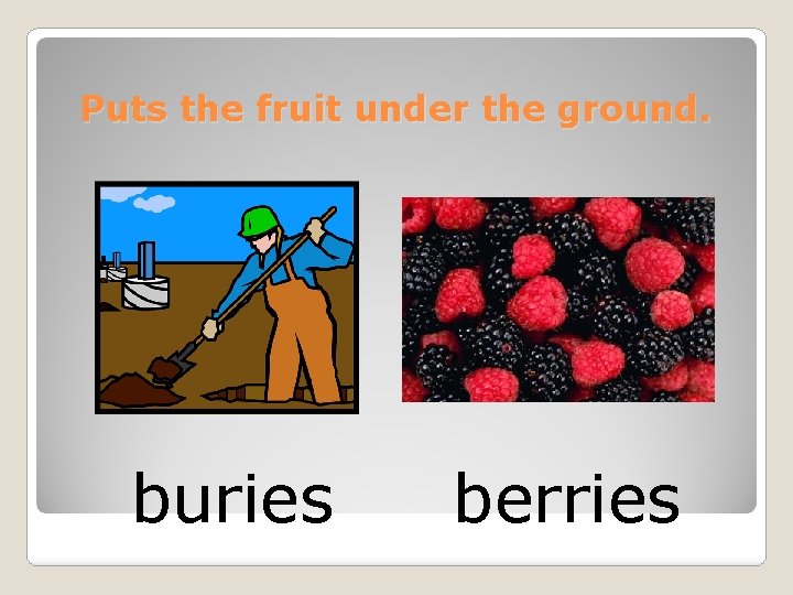 Puts the fruit under the ground. buries berries 