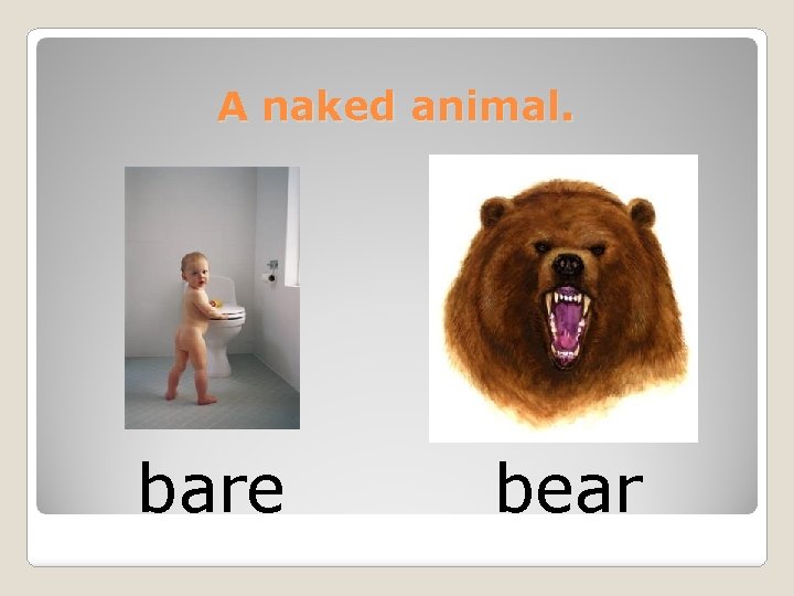A naked animal. bare bear 