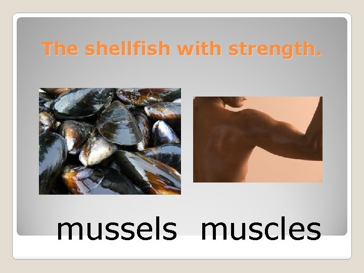 The shellfish with strength. mussels muscles 