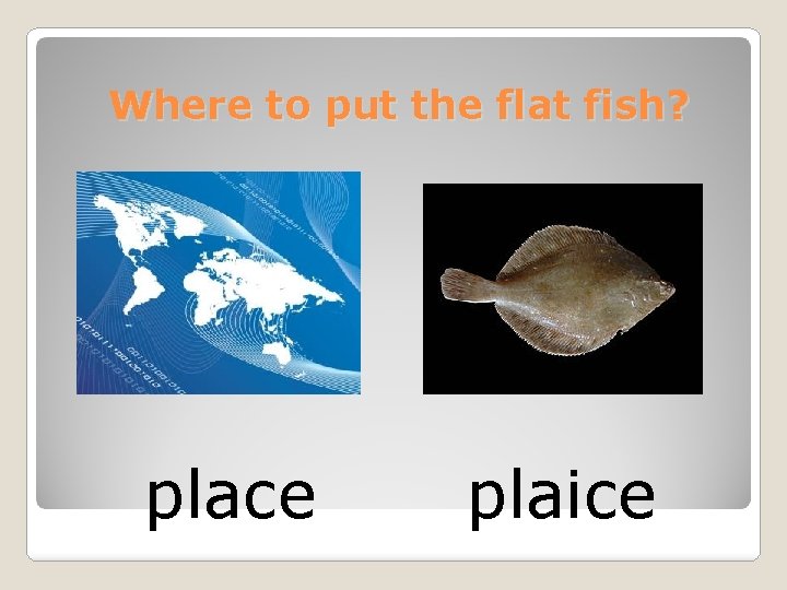 Where to put the flat fish? place plaice 