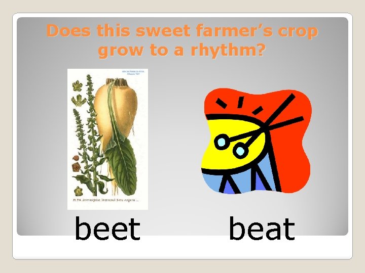 Does this sweet farmer’s crop grow to a rhythm? beet beat 
