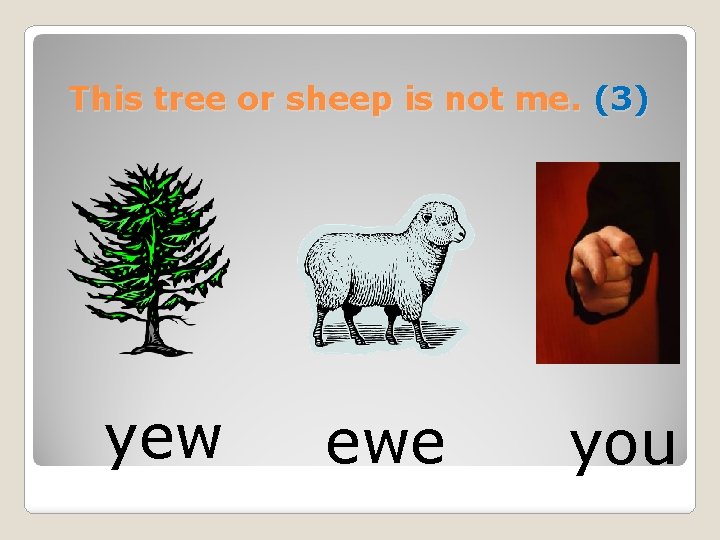 This tree or sheep is not me. (3) yew ewe you 
