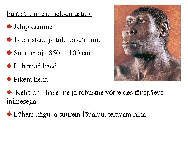 Püstist inimest iseloomustab: Jahipidamine Tööriistade ja tule kasutamine Suurem aju 850 – 1100 cm