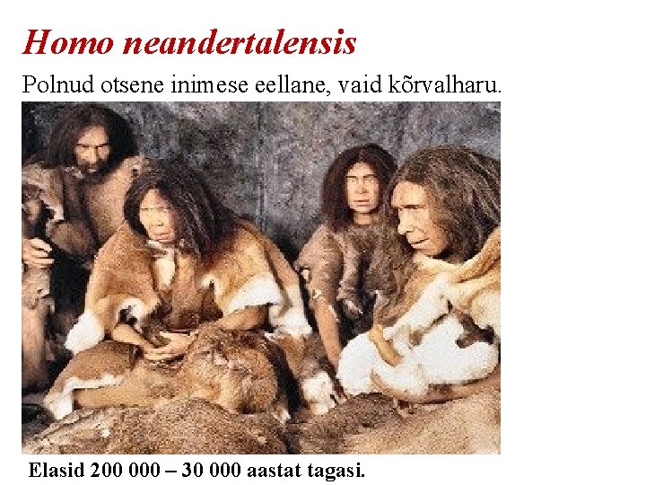 Homo neandertalensis Polnud otsene inimese eellane, vaid kõrvalharu. Elasid 200 000 – 30 000