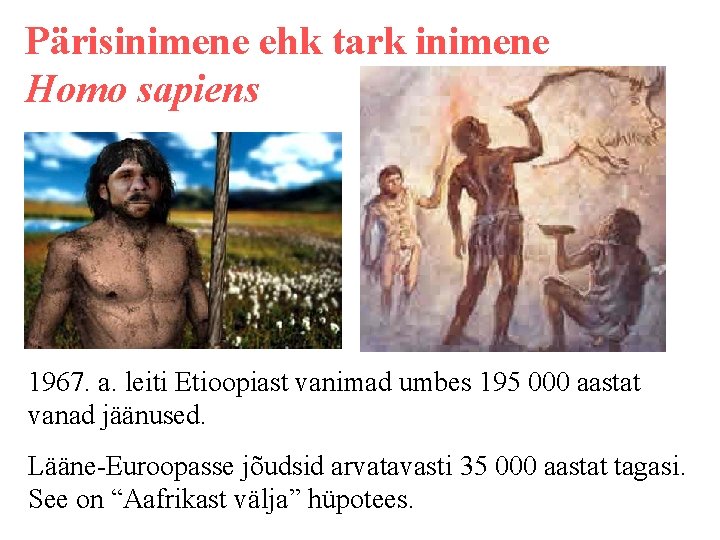 Pärisinimene ehk tark inimene Homo sapiens 1967. a. leiti Etioopiast vanimad umbes 195 000