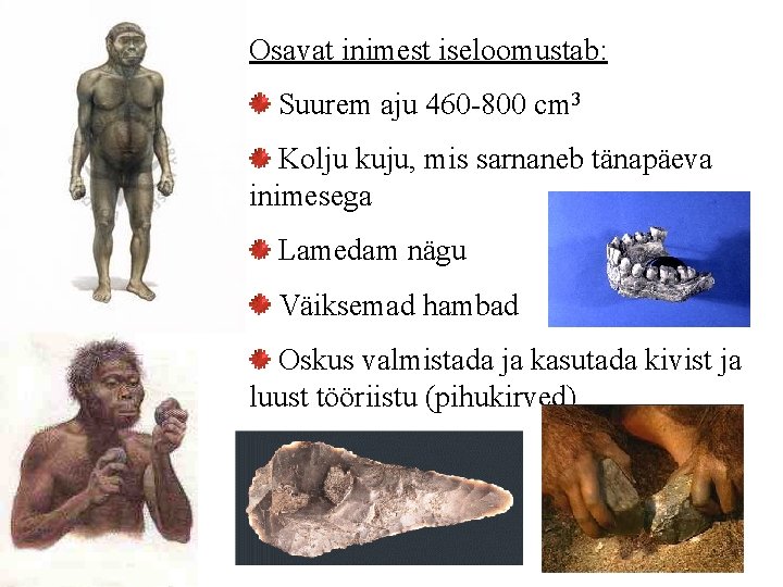 Osavat inimest iseloomustab: Suurem aju 460 -800 cm 3 Kolju kuju, mis sarnaneb tänapäeva