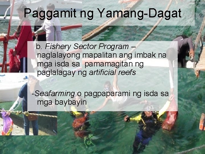 Paggamit ng Yamang-Dagat b. Fishery Sector Program – naglalayong mapalitan ang imbak na mga