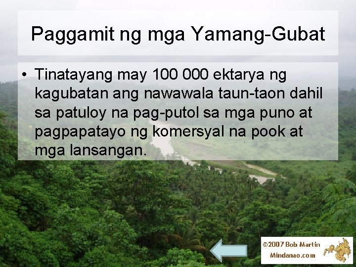 Paggamit ng mga Yamang-Gubat • Tinatayang may 100 000 ektarya ng kagubatan ang nawawala