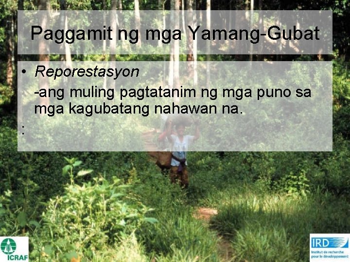 Paggamit ng mga Yamang-Gubat • Reporestasyon -ang muling pagtatanim ng mga puno sa mga