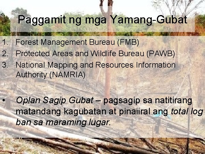 Paggamit ng mga Yamang-Gubat 1. Forest Management Bureau (FMB) 2. Protected Areas and Wildlife