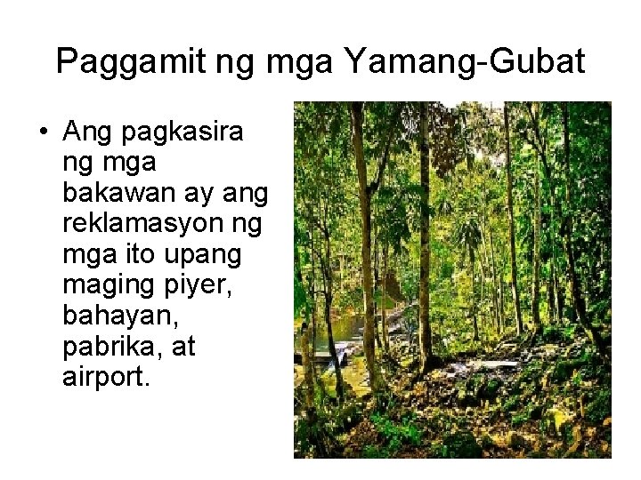 Paggamit ng mga Yamang-Gubat • Ang pagkasira ng mga bakawan ay ang reklamasyon ng