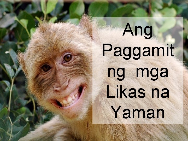 Ang Paggamit ng mga Likas na Yaman 