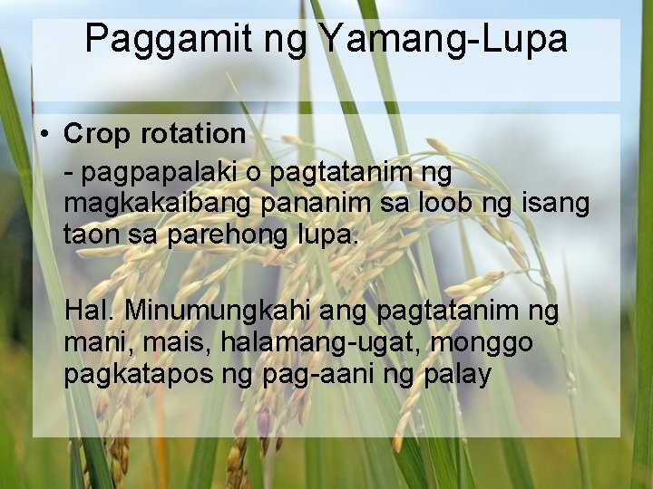Paggamit ng Yamang-Lupa • Crop rotation - pagpapalaki o pagtatanim ng magkakaibang pananim sa