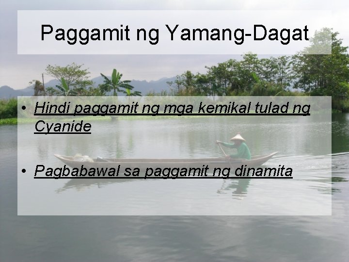 Paggamit ng Yamang-Dagat • Hindi paggamit ng mga kemikal tulad ng Cyanide • Pagbabawal