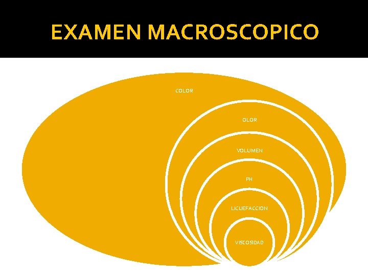 EXAMEN MACROSCOPICO COLOR VOLUMEN PH LICUEFACCION VISCOSIDAD 