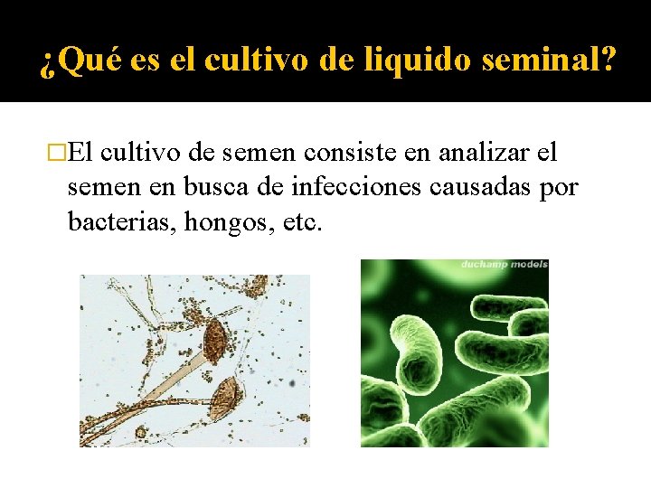 ¿Qué es el cultivo de liquido seminal? �El cultivo de semen consiste en analizar