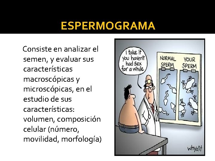 ESPERMOGRAMA Consiste en analizar el semen, y evaluar sus características macroscópicas y microscópicas, en