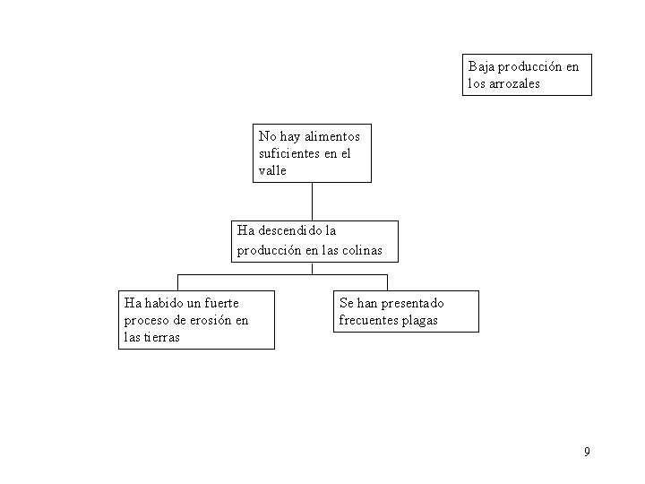 Baja producción en los arrozales No hay alimentos suficientes en el valle Ha descendido Baja producción en los arrozales No hay alimentos suficientes en el valle Ha descendido