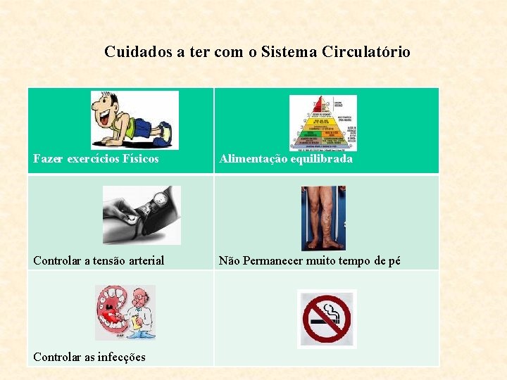 Cuidados a ter com o Sistema Circulatório Fazer exercícios Físicos Alimentação equilibrada Controlar a