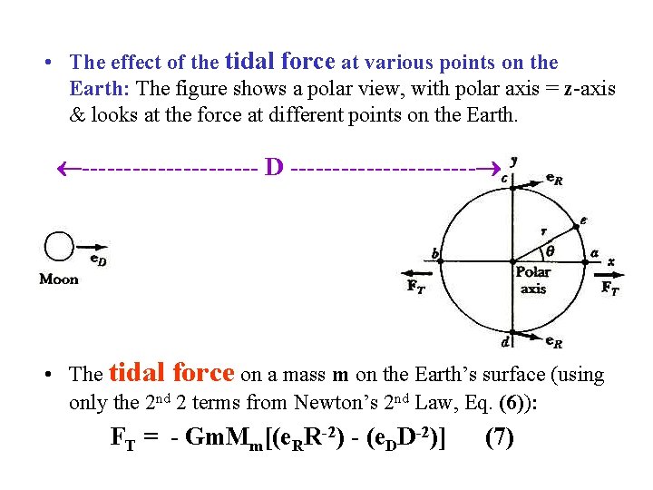 • The effect of the tidal force at various points on the Earth: • The effect of the tidal force at various points on the Earth: