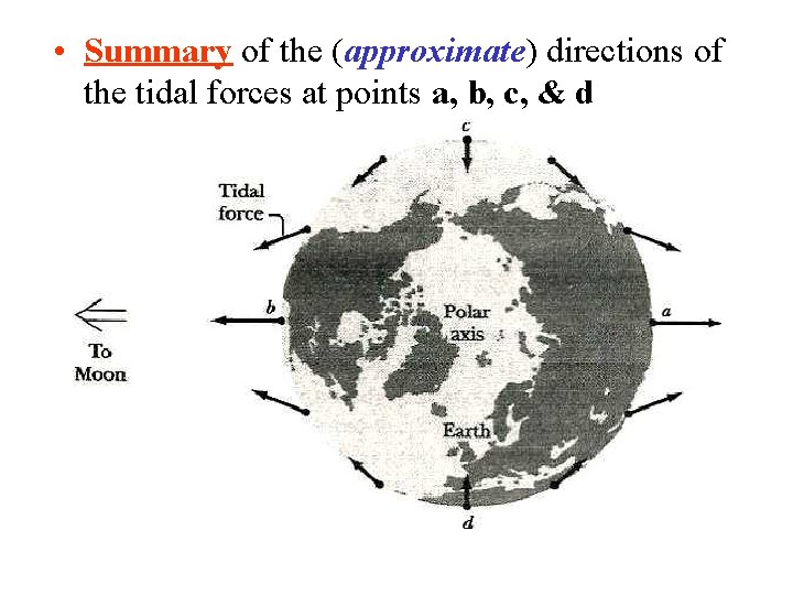• Summary of the (approximate) directions of the tidal forces at points a, • Summary of the (approximate) directions of the tidal forces at points a,