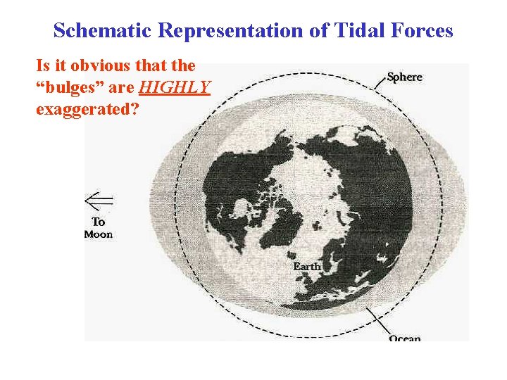 Schematic Representation of Tidal Forces Is it obvious that the “bulges” are HIGHLY exaggerated? Schematic Representation of Tidal Forces Is it obvious that the “bulges” are HIGHLY exaggerated?