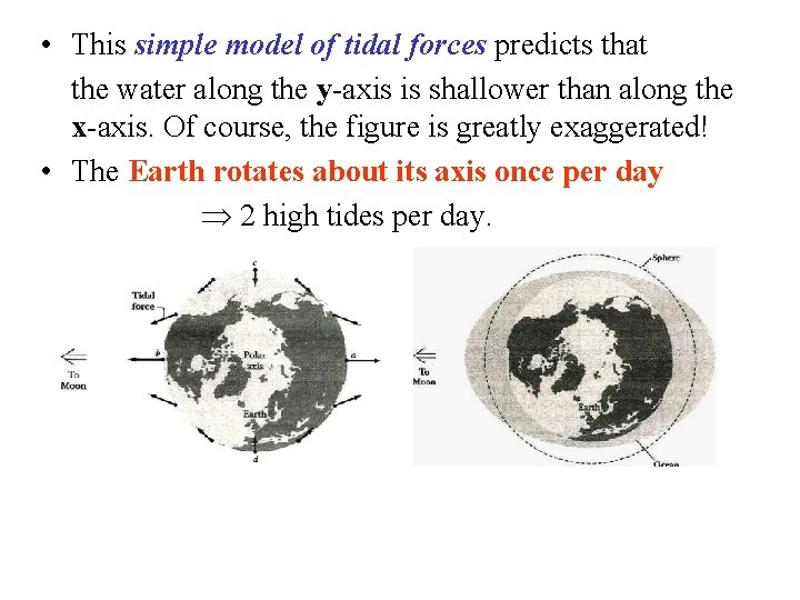 • This simple model of tidal forces predicts that the water along the • This simple model of tidal forces predicts that the water along the