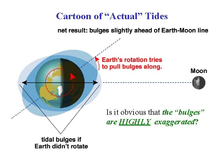 Cartoon of “Actual” Tides Is it obvious that the “bulges” are HIGHLY exaggerated? Cartoon of “Actual” Tides Is it obvious that the “bulges” are HIGHLY exaggerated?