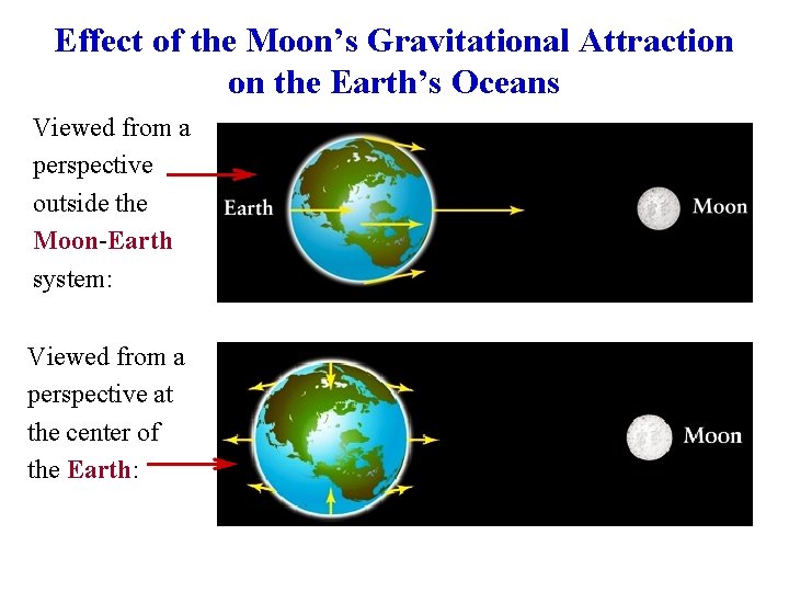 Effect of the Moon’s Gravitational Attraction on the Earth’s Oceans Viewed from a perspective Effect of the Moon’s Gravitational Attraction on the Earth’s Oceans Viewed from a perspective