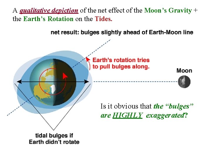 A qualitative depiction of the net effect of the Moon’s Gravity + the Earth’s A qualitative depiction of the net effect of the Moon’s Gravity + the Earth’s