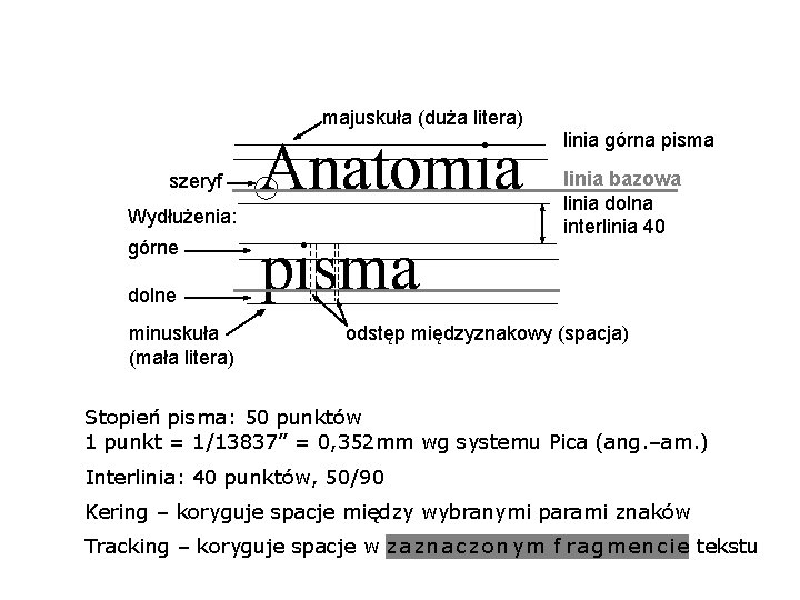 majuskuła (duża litera) szeryf Wydłużenia: górne dolne minuskuła (mała litera) Anatomia pisma linia górna