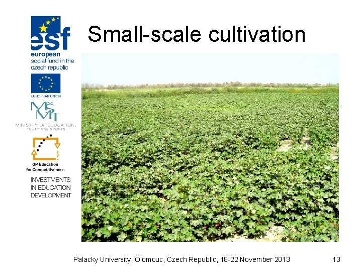Small-scale cultivation Palacky University, Olomouc, Czech Republic, 18 -22 November 2013 13 