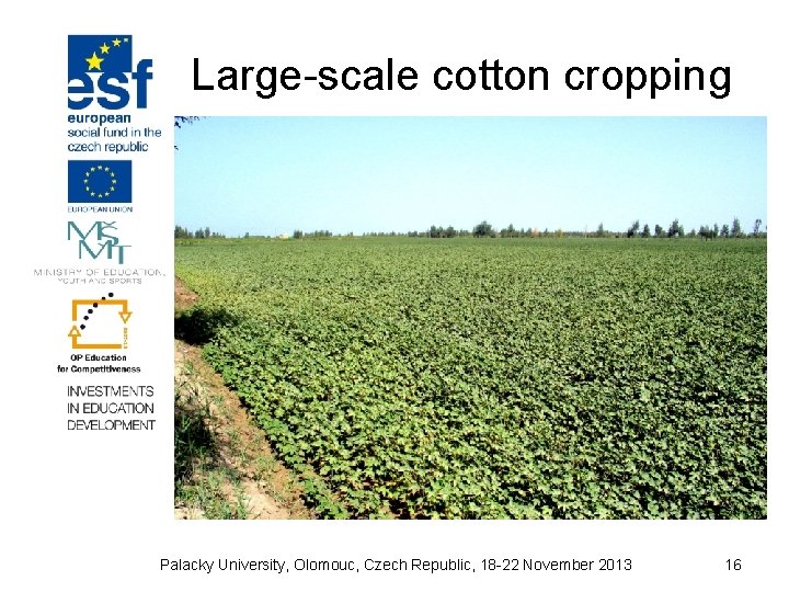 Large-scale cotton cropping Palacky University, Olomouc, Czech Republic, 18 -22 November 2013 16 