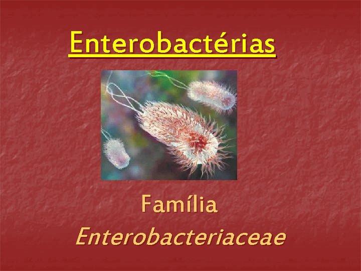 Enterobactérias Família Enterobacteriaceae 