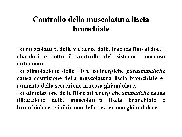 Controllo della muscolatura liscia bronchiale La muscolatura delle vie aeree dalla trachea fino ai