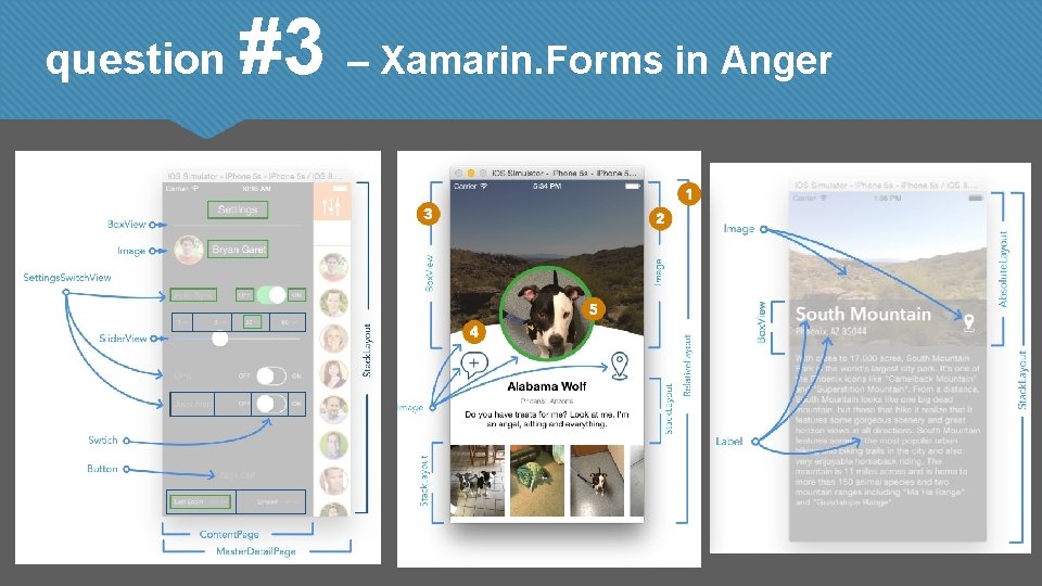 question #3 – Xamarin. Forms in Anger 