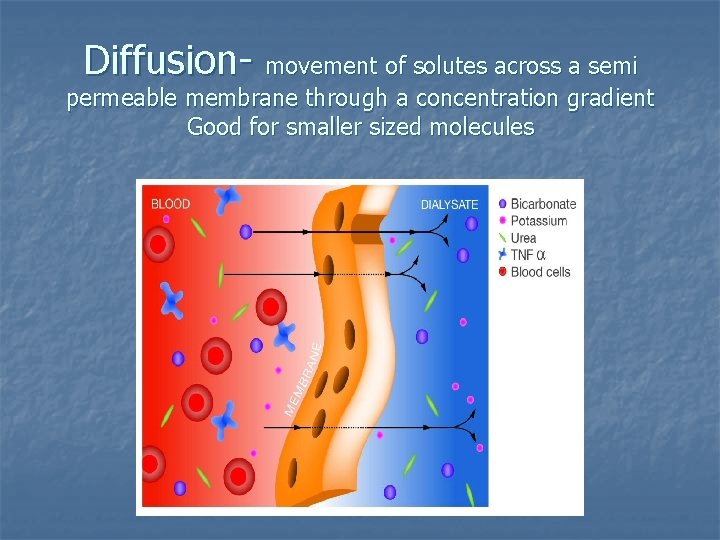 Diffusion- movement of solutes across a semi permeable membrane through a concentration gradient Good