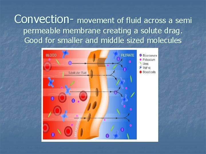 Convection- movement of fluid across a semi permeable membrane creating a solute drag. Good