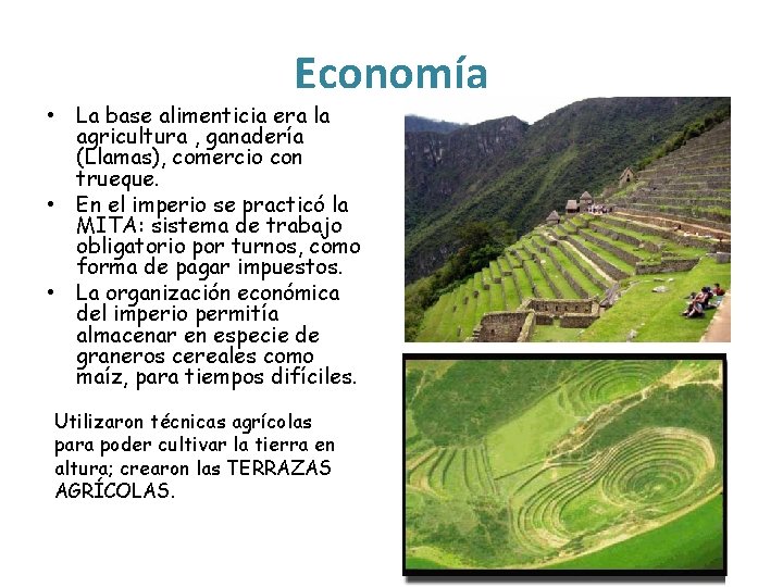 Economía • La base alimenticia era la agricultura , ganadería (Llamas), comercio con trueque.