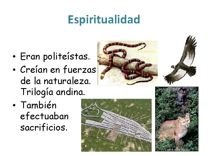 Espiritualidad • Eran politeístas. • Creían en fuerzas de la naturaleza. Trilogía andina. •