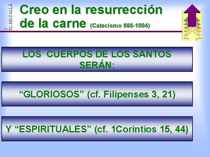 3 EL MÁS ALLÁ Creo en la resurrección de la carne (Catecismo 988 -1004) 3 EL MÁS ALLÁ Creo en la resurrección de la carne (Catecismo 988 -1004)