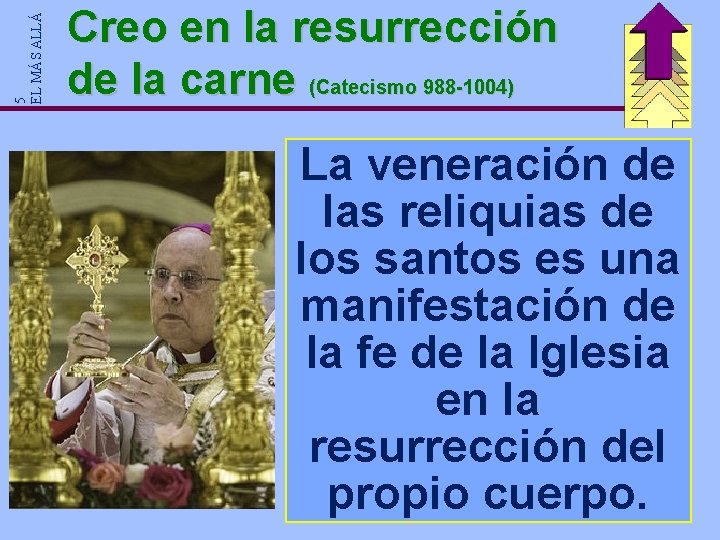 5 EL MÁS ALLÁ Creo en la resurrección de la carne (Catecismo 988 -1004) 5 EL MÁS ALLÁ Creo en la resurrección de la carne (Catecismo 988 -1004)