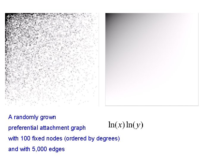 A randomly grown preferential attachment graph with 100 fixed nodes (ordered by degrees) and