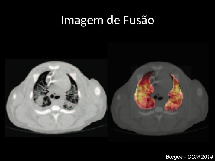 Imagem de Fusão Borges - CCM 2014 Imagem de Fusão Borges - CCM 2014