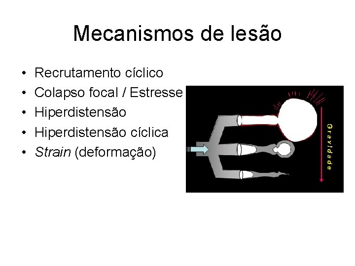 Mecanismos de lesão • • • Recrutamento cíclico Colapso focal / Estresse Hiperdistensão cíclica Mecanismos de lesão • • • Recrutamento cíclico Colapso focal / Estresse Hiperdistensão cíclica