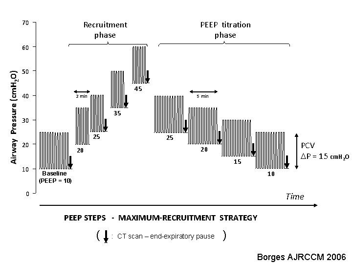 70 Recruitment phase PEEP titration phase Airway Pressure (cm. H 2 O) 60 50 70 Recruitment phase PEEP titration phase Airway Pressure (cm. H 2 O) 60 50