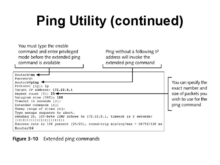 Ping Utility (continued) 