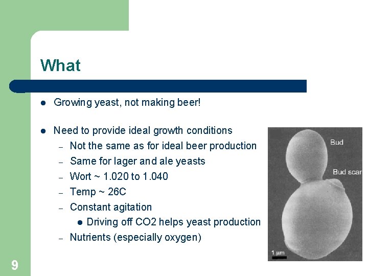 What 9 Growing yeast, not making beer! Need to provide ideal growth conditions –